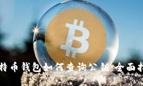 比特币钱包如何查询公钥：全面指南