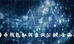 比特币钱包如何查询公钥：全面指南
