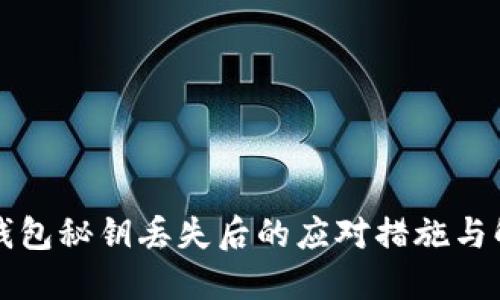 比特币钱包秘钥丢失后的应对措施与解决方案