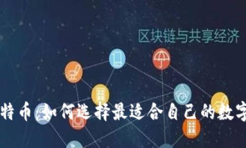 电子钱包与比特币：如何选择最适合自己的数字资产管理方式