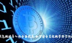 比特币钱包地址导入的全面指南：如何安全高效