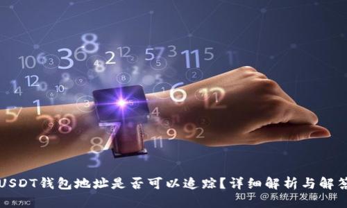USDT钱包地址是否可以追踪？详细解析与解答