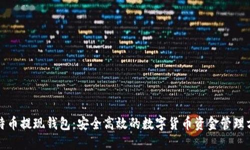 比特币提现钱包：安全高效的数字货币资金管理方案